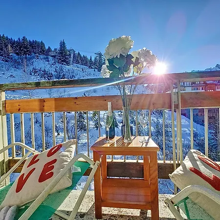 1650 - Mountain View - Snow Front 2s03